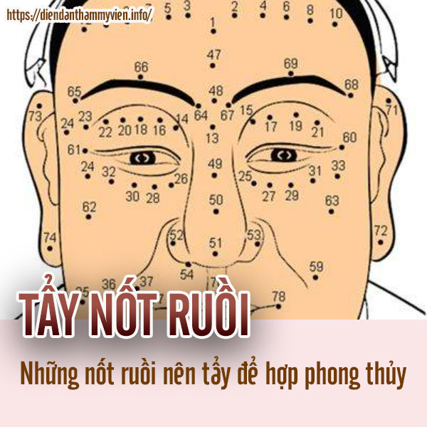 nen-tay-not-ruoi-nao-cho-hop-phong-thuy.jpg
