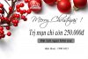 tri-mun-cap-toc-don-Noel.jpg